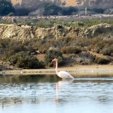 Flamingos View Apartment In Cabo De Gata Эль-Посо-дель-Кабо Экстерьер фото